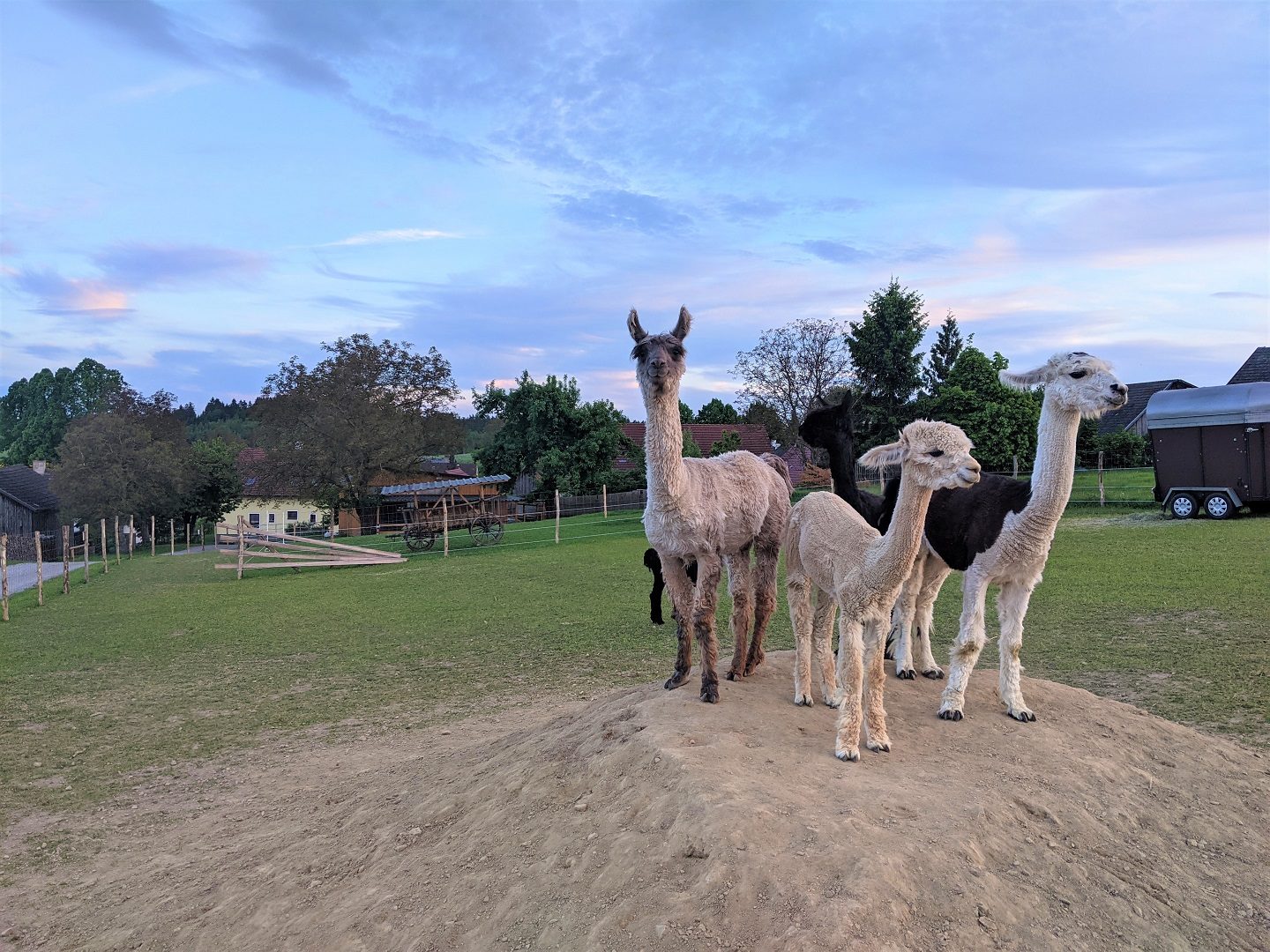 Hofstetter Ranch