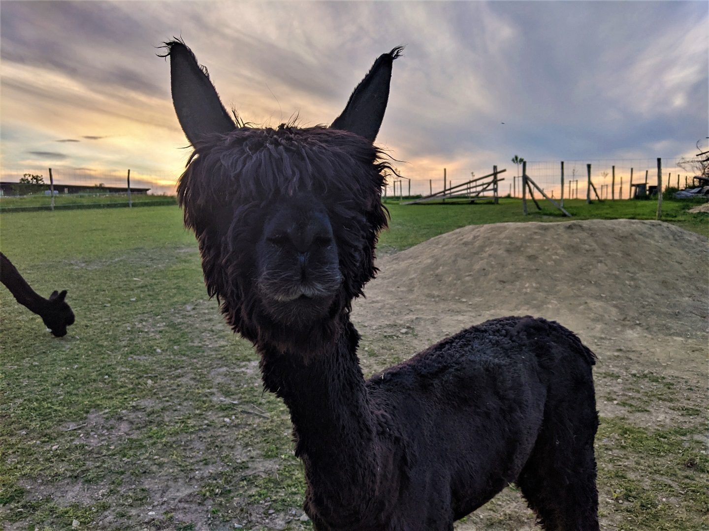 Hofstetter Ranch